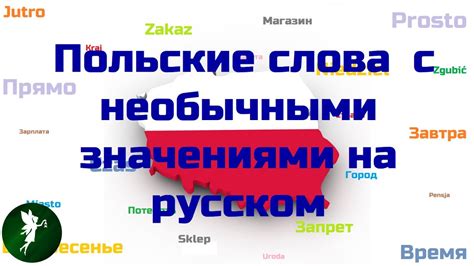 Польские слова с необычными значениями на русском - YouTube