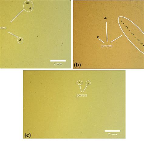 Optical Micrographs Showing The Pores A Stress Relieved Sample B