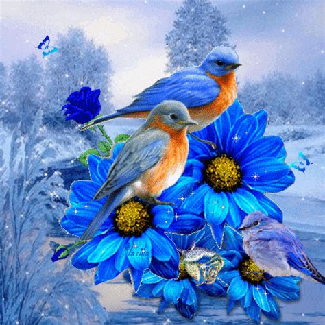 Oiseaux Bleus Et Fleurs