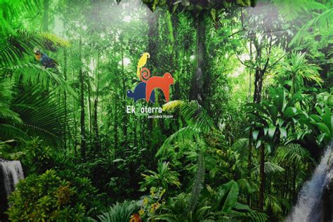 Тераріум EkZoterra, Трускавець | Послуги | Відгуки | Фото