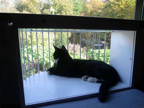 Window Mounted Cat Enclosures Cat Solarium The Cat Window Box Catio Cat Balcony