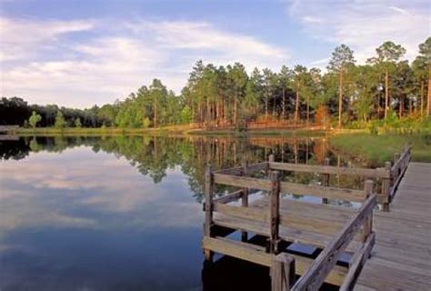 Campground Details - GENERAL COFFEE STATE PARK, GA - Georgia State Parks & Historic Sites