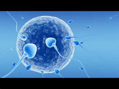 Можно ли забеременеть от смазки? - YouTube