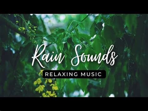 Relaxing Music With Rain Sounds Let S Play This With The Blessing Of