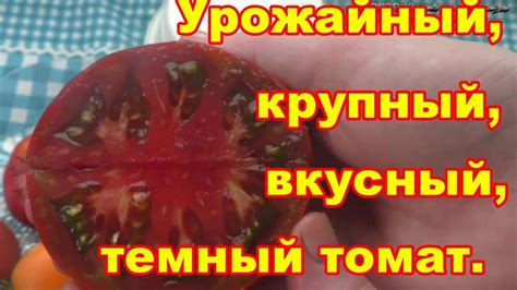 Черномор темный,крупный, вкусный томат должен был быть урожайным,но не ...