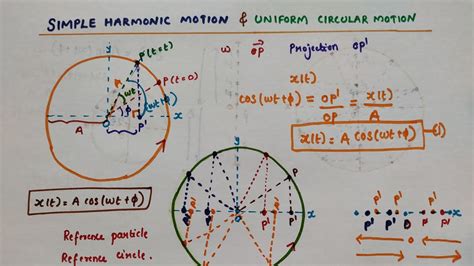 Simple Harmonic Motion And Uniform Circular Motion Class 11 Physics