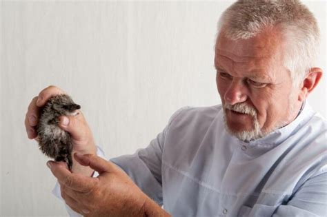 Exotic Animal Veterinarians: What Are They & How to Become One | Hepper