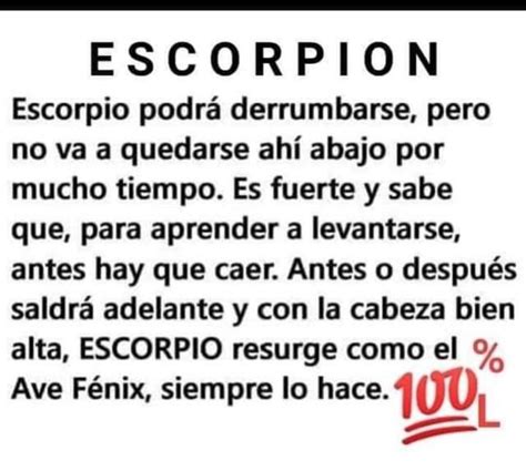 Escorpio Escorpio Frases Signo Del Zodiaco Escorpio Frases De Escorpio