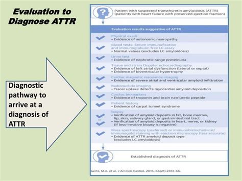 Cardiac Amyloidosis Ppt