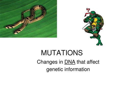 Ppt Mutations Powerpoint Presentation Free Download Id2146301