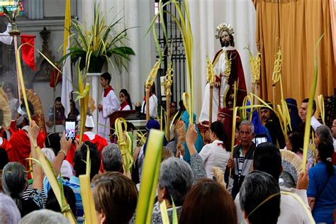 Domingo de Ramos Las palmas arriba para recibir a Jesús