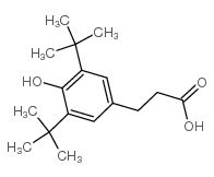 Cas Di Tert Butyl Hydroxyphenyl Propionic Acid