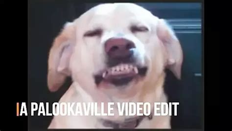 Free Master And Servant Porn Videos XHamster