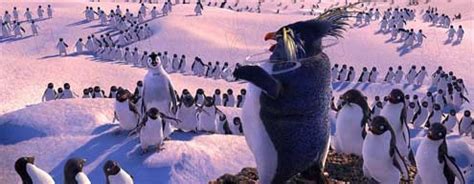 Foto De George Miller Happy Feet O Pinguim Fotos George Miller