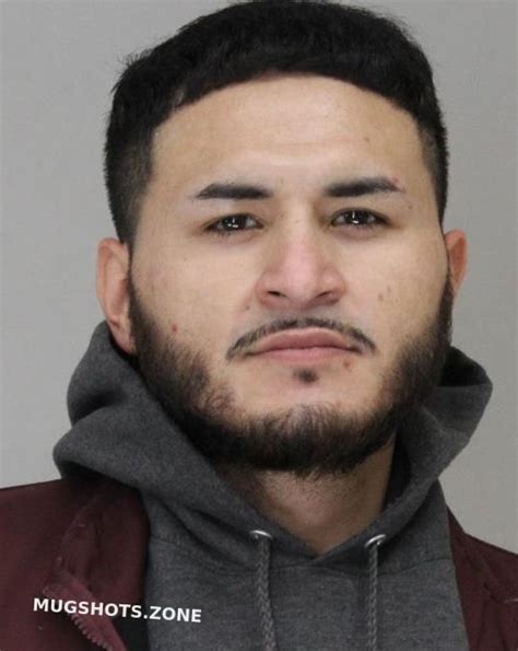 Gonzaleztorres Luis Dallas County Mugshots Zone