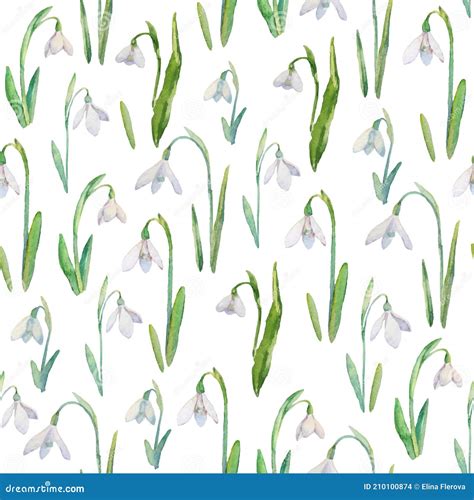 Vector Seamless Pattern With Watercolor Snowdrops A Repeating