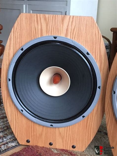 Caintuck Lii Full Range Open Baffle Speakers Photo Canuck