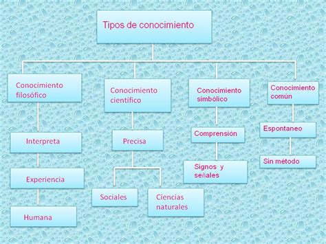 Educomunicacion Tipos De Conocimientos