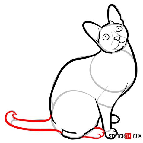 How To Draw The Cornish Rex Cat Sketchok Easy Drawing Guides