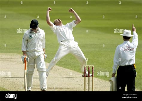 Englands Andrew Flintoff Celebrate Dismissing New Zealand Captain