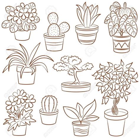 Doodle Set Of Pot Plants And Flowers Doodle Set Of Pot Plants And