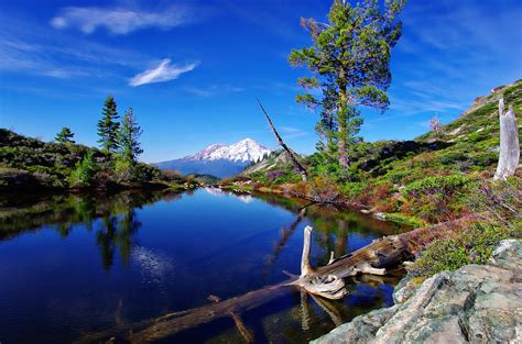 Heart Lake And Mt Shasta Reflection Photograph By Scott Mcguire