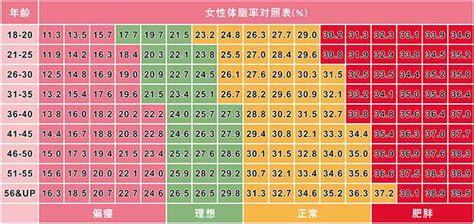 体脂率计算器体脂率计算公式体脂率怎么算体脂率对照图