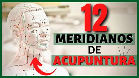 Beneficios De La Acupuntura Para La Salud Tuinfosalud Artofit