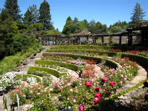 Berkeley Rose Garden - Visit Berkeley