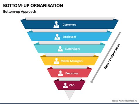 bottom  organization powerpoint  google  template