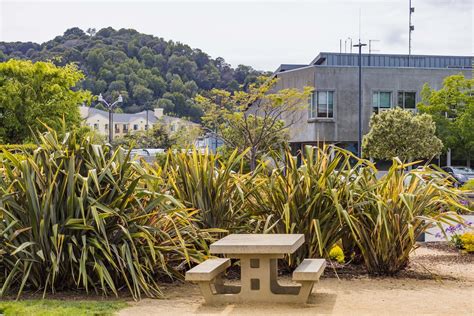 A Concrete Bench at a Park · Free Stock Photo