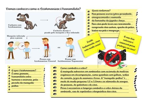 Panfleto Leishmaniose Visceral para Crianças pdf