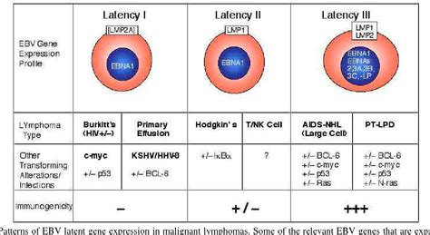 Figure From Epstein Barr Virus Ebv And Lymphomagenesis Semantic