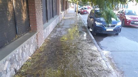 Importante pérdida de agua en Avenida Mariano Moreno El Esquiu