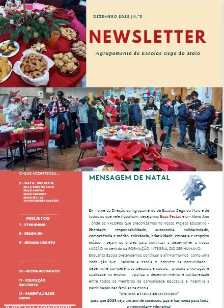 Newsletter 3 Boletim Informativo De Atividades Dezembro