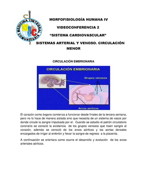 Mfh Iv Ao Clase Morfofisiolog A Humana Iv Videoconferencia