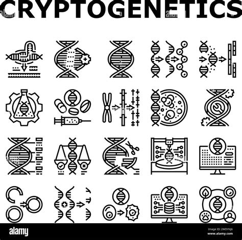 Cryptogenetics Dna Gene Helix Icons Set Vector Genetic Technology