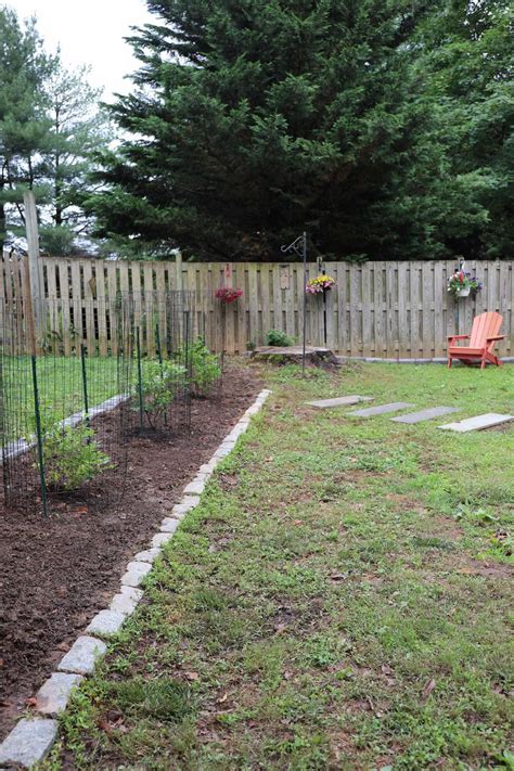 Before And After Can I Plant A Blueberry Bush Were Going To Find Out