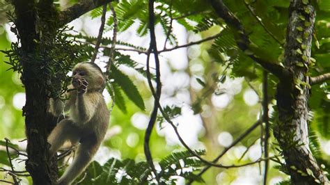 Best time for Peru jungle tours | Blog Cusco Peru Travel