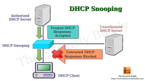 What Is Dhcp Snooping The Security Buddy