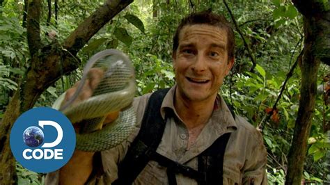 Bear Grylls In Borneo Jungle Man Vs Wild Youtube