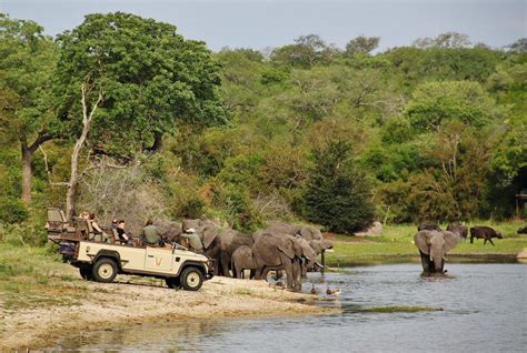 C Mo Es Y Hacer Un Safari En Parque Kruger Sud Frica Gu As Viajar