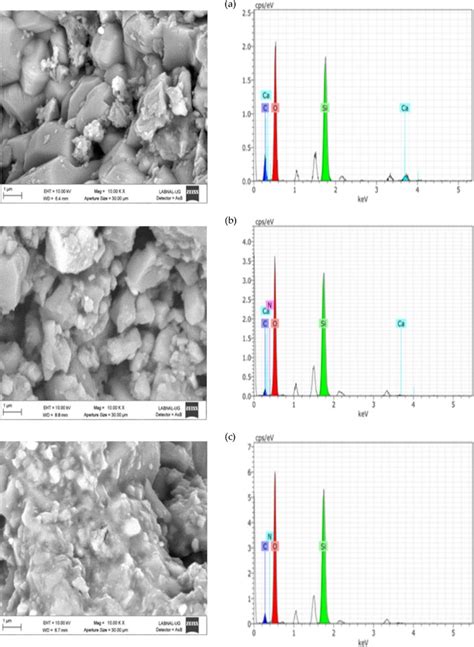 Sem Edx Analysis For The A Compañía Sample Without Treatment B Download Scientific Diagram