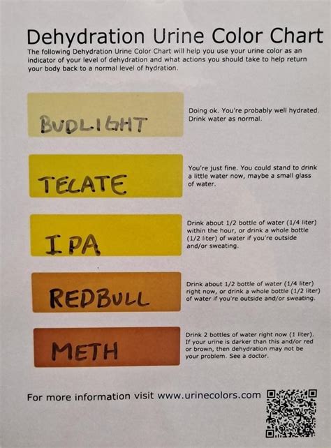 Dehydration Urine Color Chart The Following Dehydration Urine Color Chart Will Help You Use Your