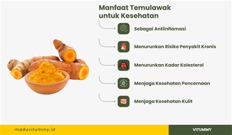 Manfaat Temulawak Untuk Kesehatan Tubuh Harus Tahu