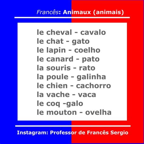 Animais em francês Learn french French language learning French