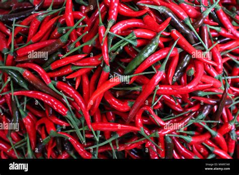 Pile Of Red Hot Chili Peppers As Food Background Stock Photo Alamy
