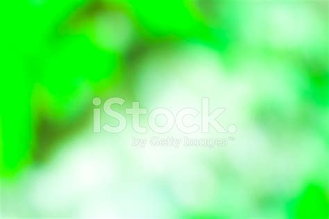 Details Blur Background Green Abzlocal Mx