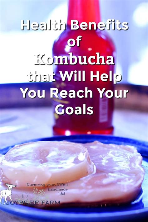 Health Benefits of Kombucha that Will Help You Reach Your Goals ...