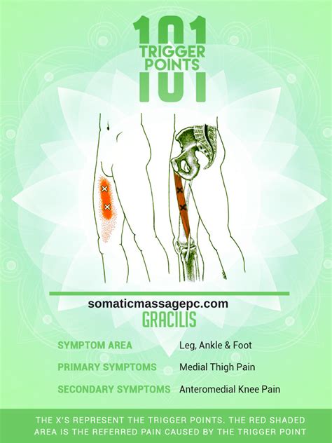 Pin On Trigger Point Therapy